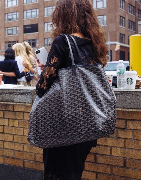 goyard st louis vs moreau tote